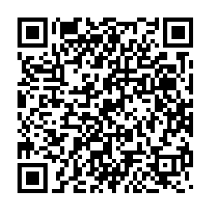 杨晨从孙兆廷的身上总共搜出了十二张还没有使用过的茅山派灵符二维码生成
