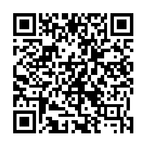 杨晨其实巴不得有很多人询问他关于能量粒子理论的问题二维码生成