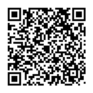 杨晨几乎以一个百分比一个百分比的幅度增强或者减弱能量粒子强度二维码生成