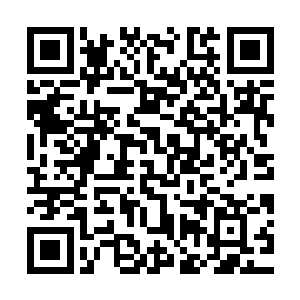 杨晨就仿佛那几乎可以把普通人肩膀捏断的力量完全不存在一般二维码生成