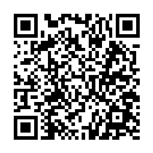 杨晨指了指旁边的陈元几个暂时充当杂役的散修――当然二维码生成