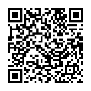 杨晨朝不远处的一颗结满圆溜溜红色过是的树木走了过去二维码生成