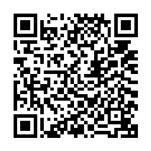 杨晨的玄金神剑和和玄阴兽的爪子已经发生了这次战斗的碰撞二维码生成