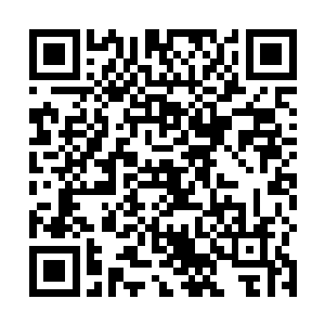 杨晨的识海内猛然出现一把由万千的神念所组成的灵剑二维码生成