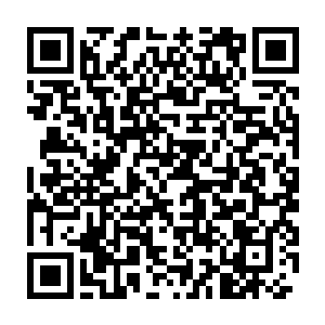 杨晨的身体正在经受着类似气功大师们从三阶升向四阶时所要承受的二维码生成
