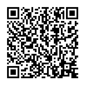 杨晨瞬间被这强大的气场给震得哑口无言了……果然还是掌教牛逼啊二维码生成