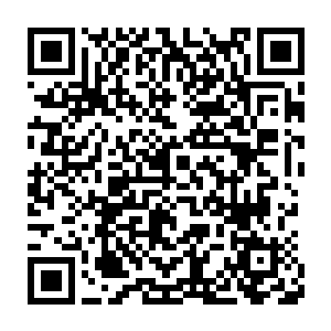 杨晨等到自己脑海之中那被强行塞入大量数据的痛苦稍微缓和之后二维码生成