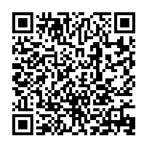 杨晨脑海中莫名其妙浮现一张十分诡异的画面……他暂时压下了心中的疑惑二维码生成