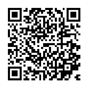 杨晨自然不会放任自己的对手在即将开展战斗的时候突然进阶二维码生成
