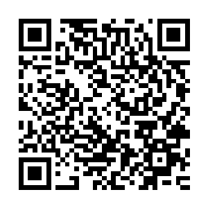杨晨要尽快将这里探索完毕后出去将那罗剑和赵青也一并杀了二维码生成