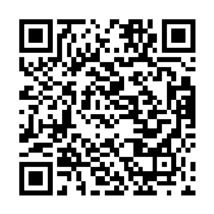 杨晨还是非常有把握在这家伙攻击之前将阵法布置好的二维码生成