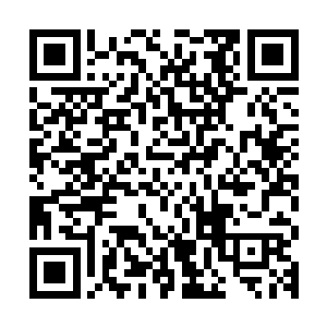 杨永贵的女婿一口咬定那块地当初是针织二厂抵消工程款给了他二维码生成