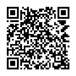 杨泉和一身汗的庞黑子坐在那里讨论如何当一名合格的海盗二维码生成