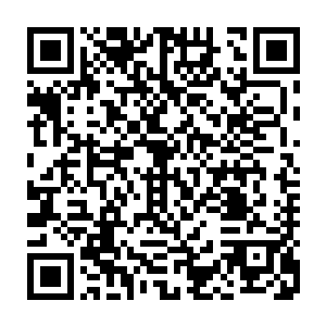 杨洛的计划是将大化镇新城建设成能容纳五十万以上居民生活的新兴城区二维码生成