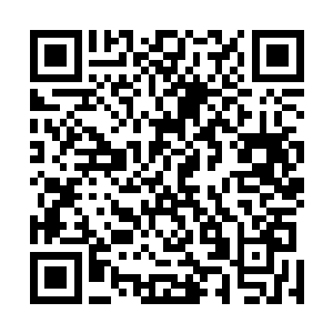 杨燕妮和莫小鱼是在看着看守所长处理完这事才放心走的二维码生成