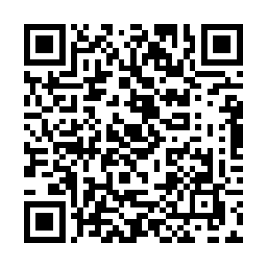 杨璐就不止一次的在我面前说你很照顾他们这些后辈二维码生成