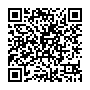 杨眉还是帮着党玉张罗了一场不算热闹但很温馨的庆生宴二维码生成