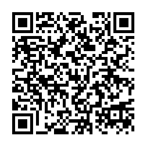 杨诏和杨慎杨影也是急忙以最诚挚的语气和最谦卑的姿态发出邀请二维码生成