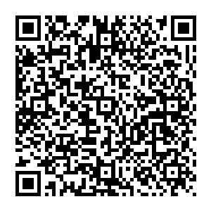 杨辰……幻境被诸神攻陷了……我爷爷为了拖延时间……也被神族杀掉了……我们什么都没了……呜呜……二维码生成