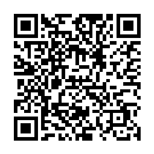 杨辰并没有得到往日的那般欢迎或者美眉们的迟到抗议二维码生成