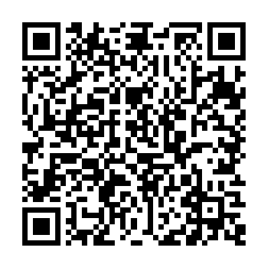 杨辰开始给小脸满是认真与渴望的女儿传授起自己这门练了十几年的功法二维码生成