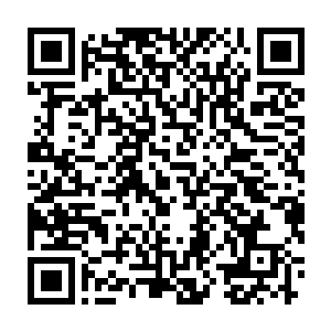 杨锐是不准备让离子通道实验室过那种凌晨两点排队等仪器的苦日子了二维码生成