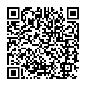 杨锐立即在离子通道实验室开了好几个克隆目标片段序列的小项目二维码生成