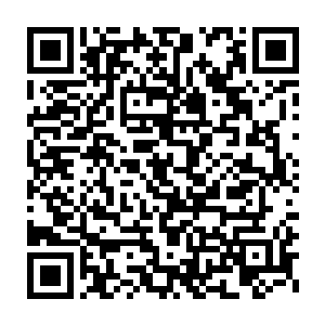 杨锐自始至终都是以人体基因组计划为目标配置离子通道实验室的二维码生成