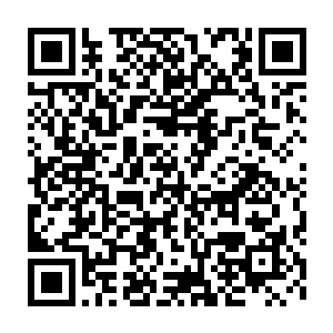 杨风之所以怀疑这头冰龙是超级魂兽的原因就是这头冰龙不会说话二维码生成