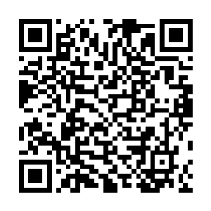 杨风和欧阳若兰这样的行为反而让仙儿彻底的记住了他们二维码生成