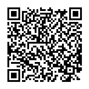 杨风感觉战天宗对天门出手的概率都比无极魔宗对天门出手的概率大二维码生成