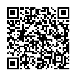 杨风才会这么坚定不移的开始燃烧生命之火这种非常疯狂的行动二维码生成