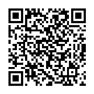 杨风看了上面记载的最简单的一个招数就立刻的傻眼了二维码生成