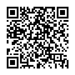 杨风自认为最强的攻击打在那石熊的身上就像是挠痒痒一般二维码生成