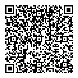 杰克拼命的挣扎 大刀一刀刀落下 将石庞的整个后背都砍的稀巴烂 而石庞 却是用劲了最后的力气 对着不远处的南宫凤鸾 喊道 二维码生成