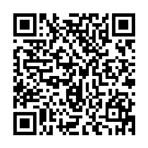 杰克拿出了一排排用塑料弹托装着的特殊霰弹枪用的frag二维码生成