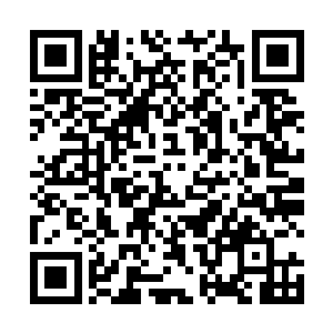 杰西卡已经在心里彻底把金在珉和非人类划上了等号了二维码生成