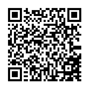 板砖的那种几率低到令人发指的眩晕命中率实在是太坑爹了二维码生成
