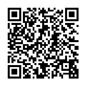 极为不屑的回应了一下……冰冷的面色上也增添了几分得意的二维码生成