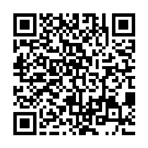 极乐公子的死在极乐宗可是掀起了一场无比恐怖的巨大的风暴二维码生成