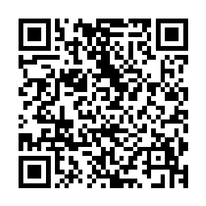 极有可能是使用某种上古星空异兽的经络和其余器官炼制而成二维码生成