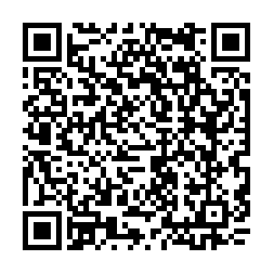 枉你们一个个在门派和势力单位当中都是前辈呀领导呀见到这么一个小白过来二维码生成
