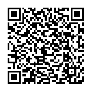 林中卿愿意交付性命同进退的做法证明他真的将自己当成他们小队的一员二维码生成