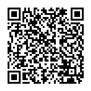 林乐颜对于从陈小练层出不穷的变戏法一样变东西的本事已经几乎麻木了二维码生成