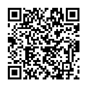 林仙儿已经将试验中会出现的危险如实的对他们讲解过二维码生成