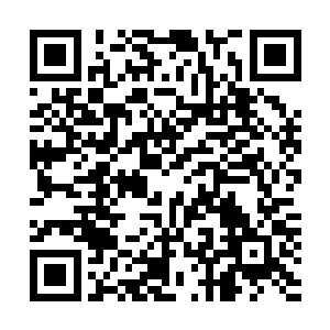 林会长的话是不是说我表弟就是那位唯一获得五分的风水师二维码生成