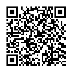 林先生只怕因为我沒有放弃大学城工程的招标已经对我怀恨在心二维码生成