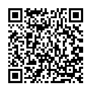 林凡到门口本来准备找冯文斌姐妹以及师母说离开的事情二维码生成