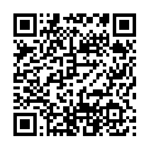 林凡已经从一个实习生变成了市人民第一医院的副主任二维码生成