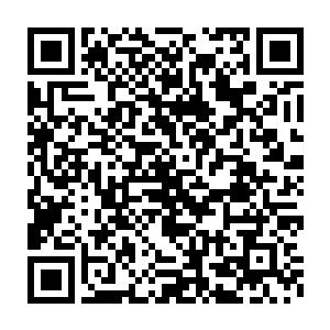 林凡能感受到田燕那对挺翘的双峰有一下没一下的碰触到他的背上二维码生成